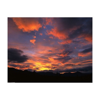 Tablou Canvas Natura, Dimensiunea 100x70 nat1631 Tablou Canvas Natura, Dimensiunea 100x70 nat1631