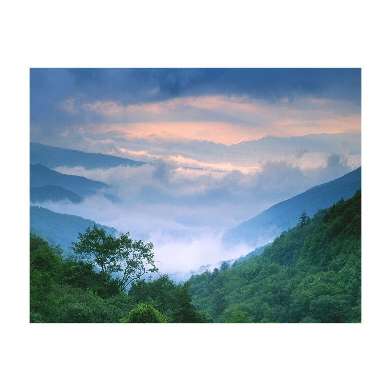 Tablou Canvas Natura, Dimensiunea 100x70 nat1608