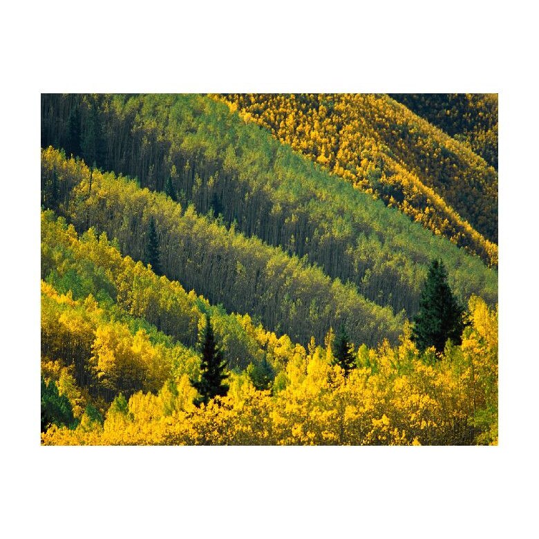 Tablou Canvas Natura, Dimensiunea 100x70 nat1573