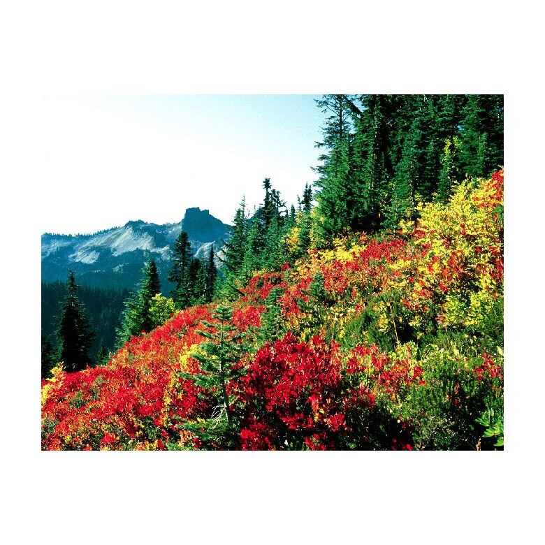 Tablou Canvas Natura, Dimensiunea 100x70 nat1602