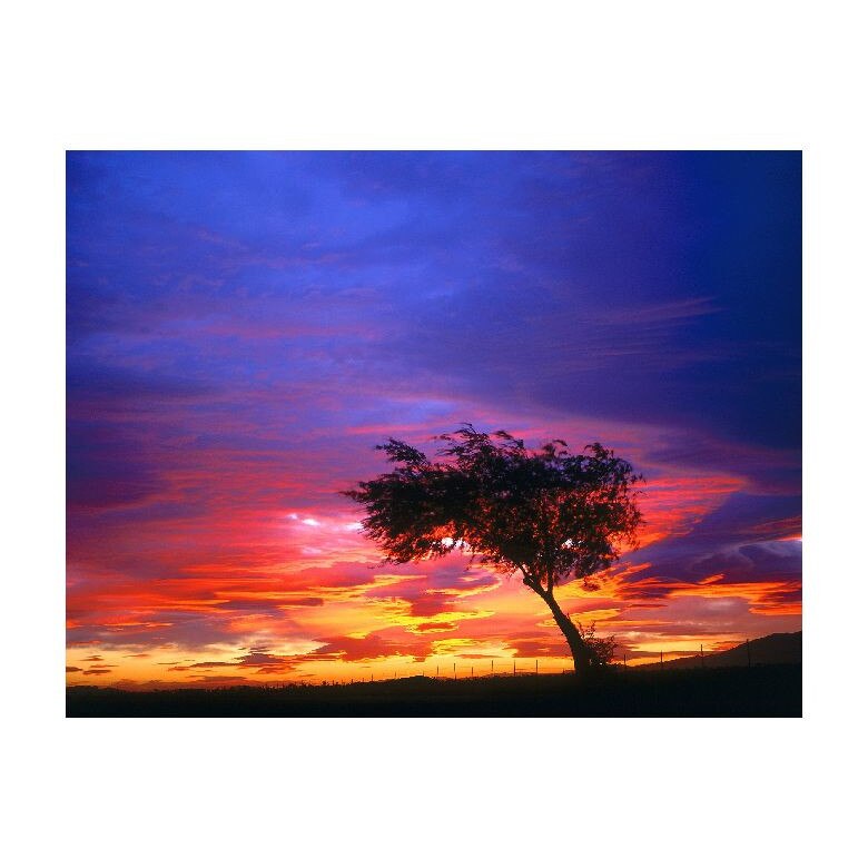 Tablou Canvas Natura, Dimensiunea 100x70 nat1637