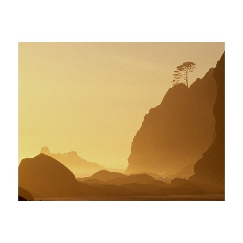 Tablou Canvas Natura, Dimensiunea 100x70 nat1639