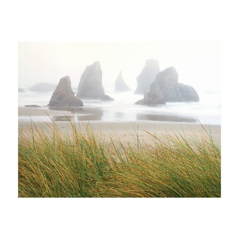 Tablou Canvas Natura, Dimensiunea 100x70 nat1511