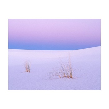 Tablou Canvas Natura, Dimensiunea 100x70 nat1731 Tablou Canvas Natura, Dimensiunea 100x70 nat1731