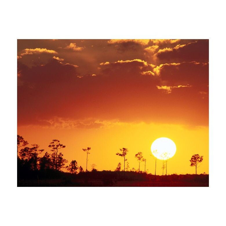 Tablou Canvas Natura, Dimensiunea 100x70 nat1520