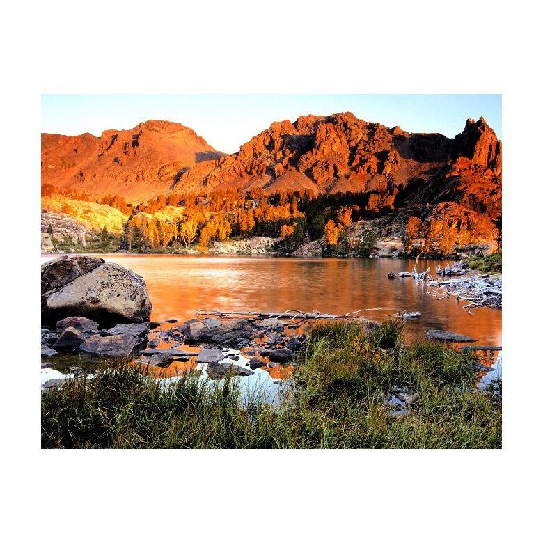 Tablou Canvas Natura, Dimensiunea 100x70 nat1777