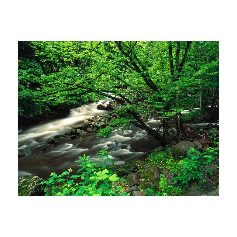 Tablou Canvas Natura, Dimensiunea 100x70 nat1735