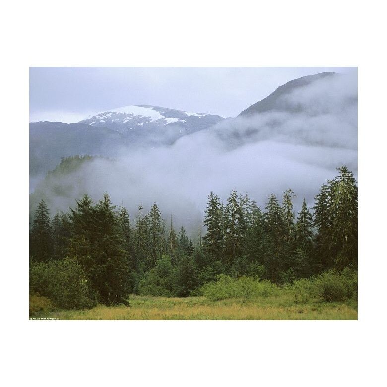 Tablou Canvas Natura, Dimensiunea 100x70 nat1682