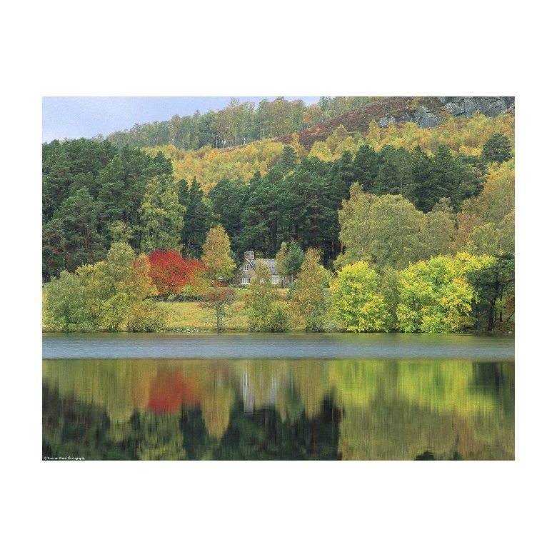 Tablou Canvas Natura, Dimensiunea 100x70 nat1728