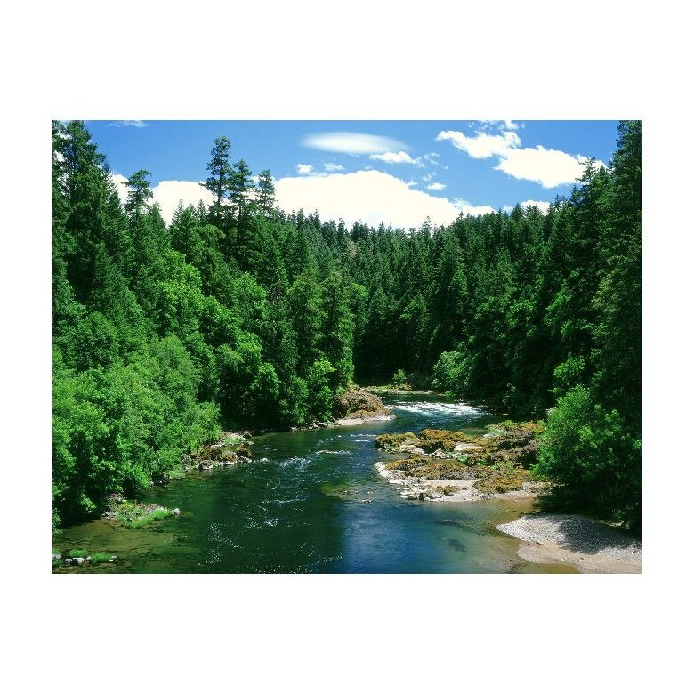 Tablou Canvas Natura, Dimensiunea 100x70 nat1753