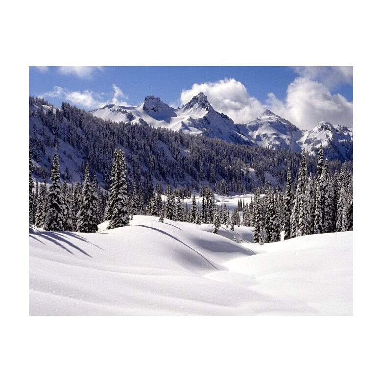 Tablou Canvas Natura, Dimensiunea 100x70 nat1680