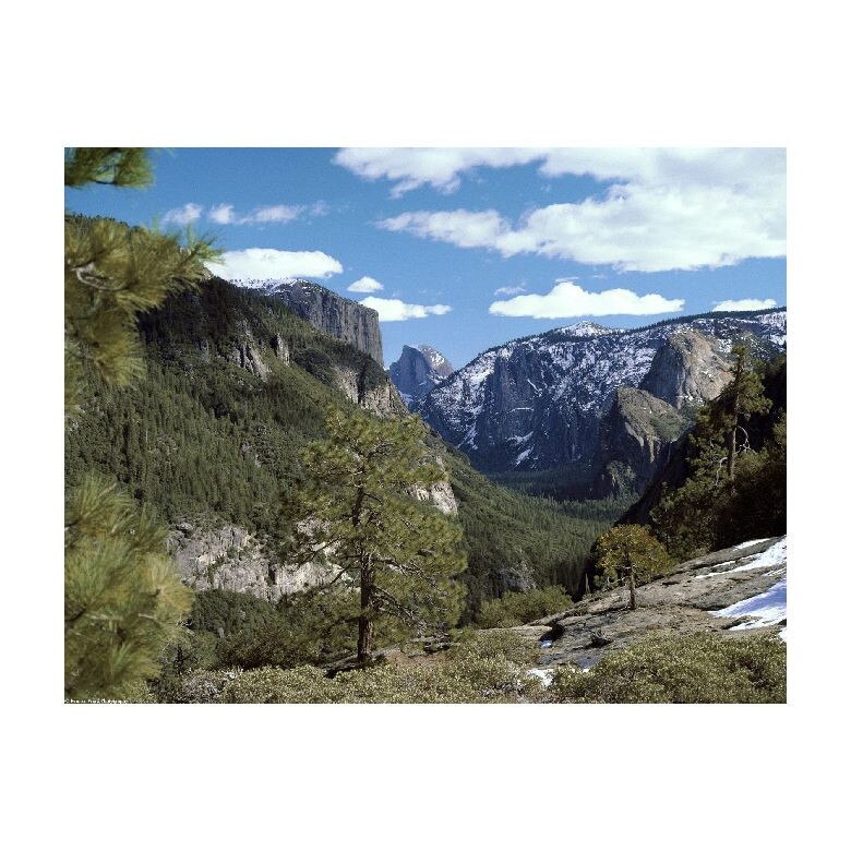 Tablou Canvas Natura, Dimensiunea 100x70 nat1764