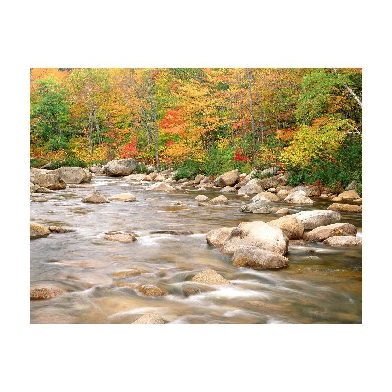 Tablou Canvas Natura, Dimensiunea 100x70 nat1669