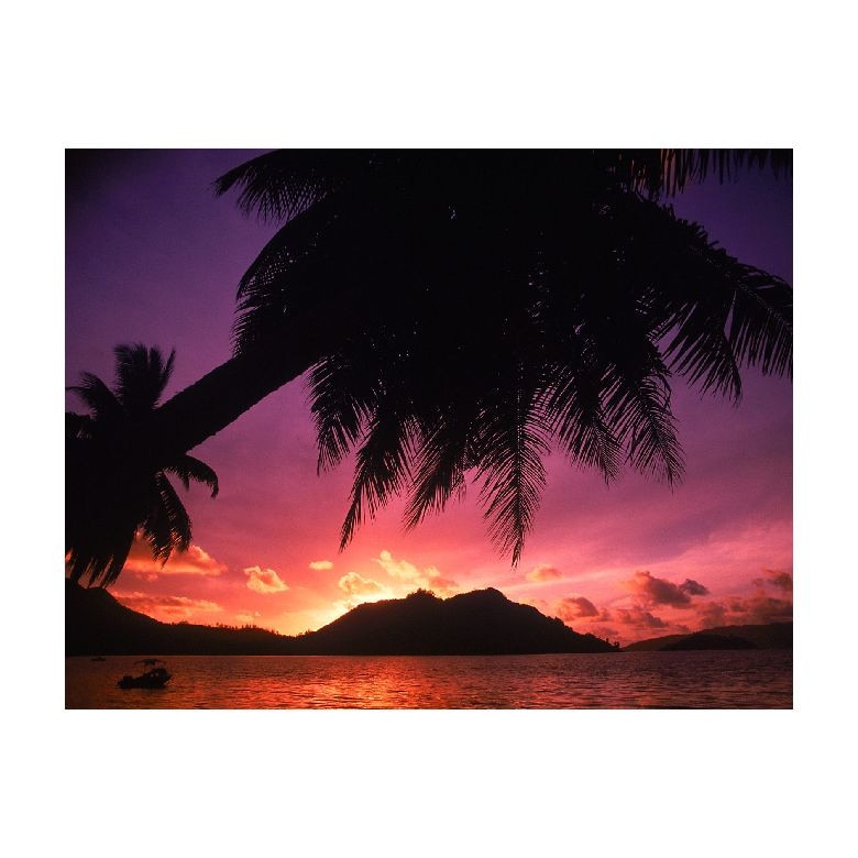 Tablou Canvas Natura, Dimensiunea 100x70 nat1736