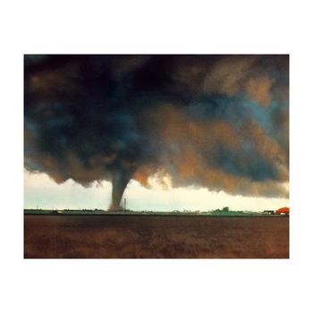 Tablou Canvas Natura, Dimensiunea 100x70 nat1752 Tablou Canvas Natura, Dimensiunea 100x70 nat1752