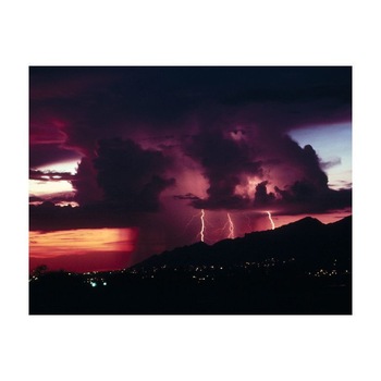 Tablou Canvas Natura, Dimensiunea 100x70 nat1715 Tablou Canvas Natura, Dimensiunea 100x70 nat1715