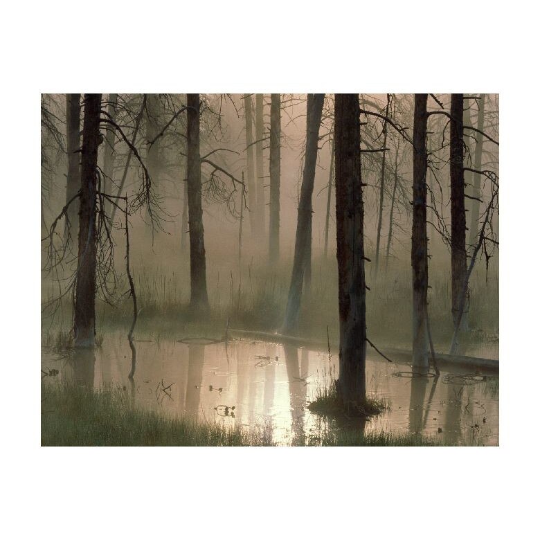 Tablou Canvas Natura, Dimensiunea 100x70 nat1667