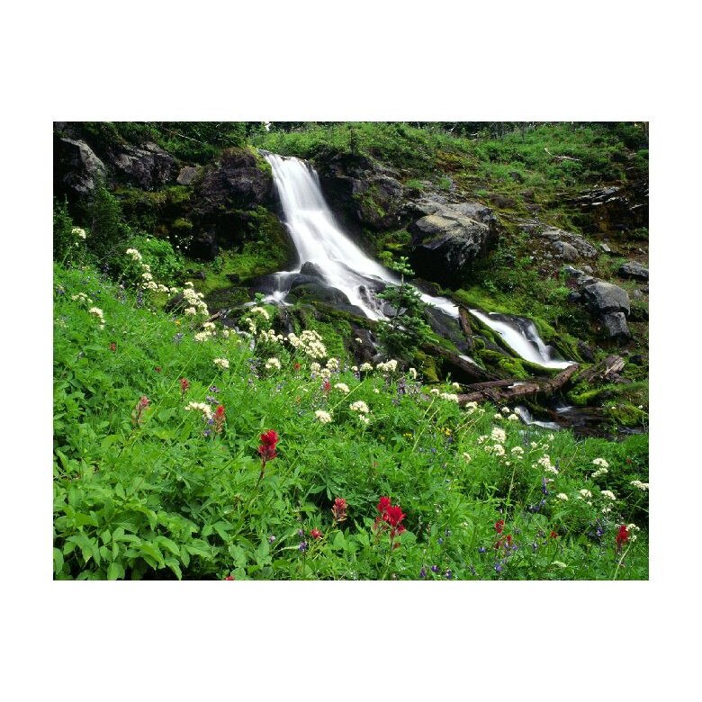 Tablou Canvas Natura, Dimensiunea 100x70 nat1801