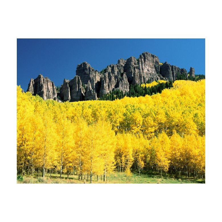 Tablou Canvas Natura, Dimensiunea 100x70 nat1754