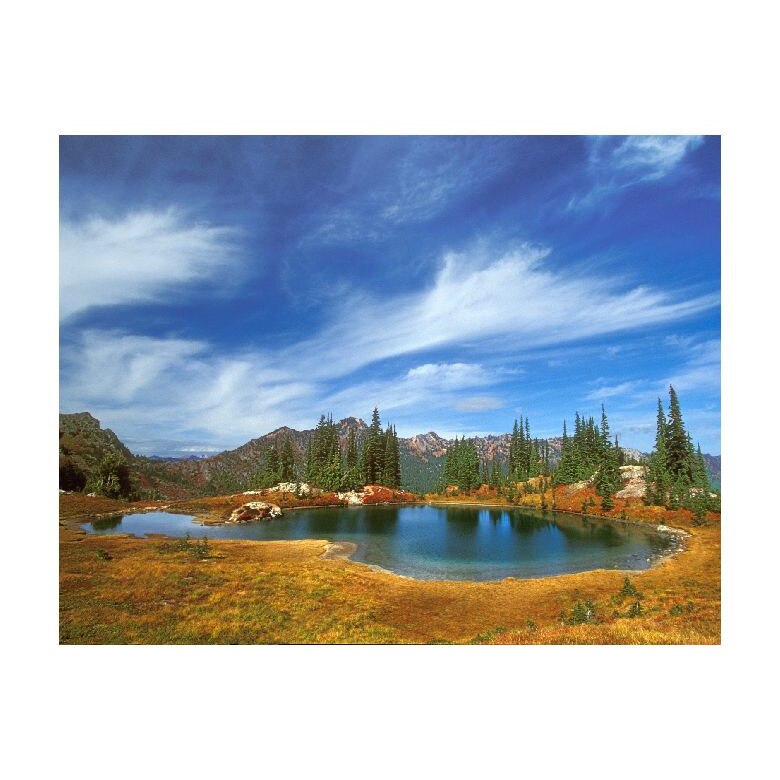 Tablou Canvas Natura, Dimensiunea 100x70 nat1685