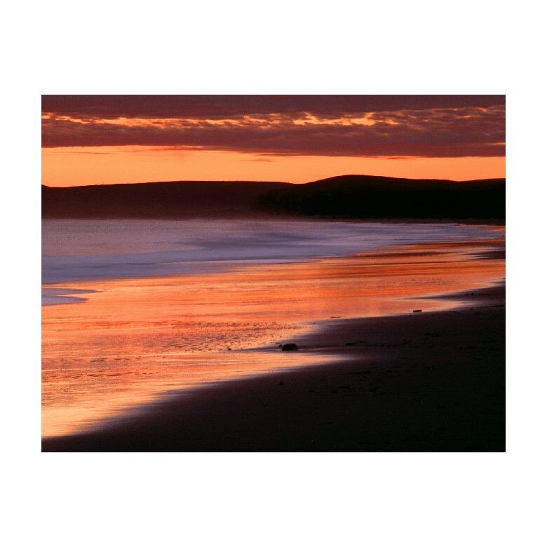 Tablou Canvas Natura, Dimensiunea 100x70 nat1653
