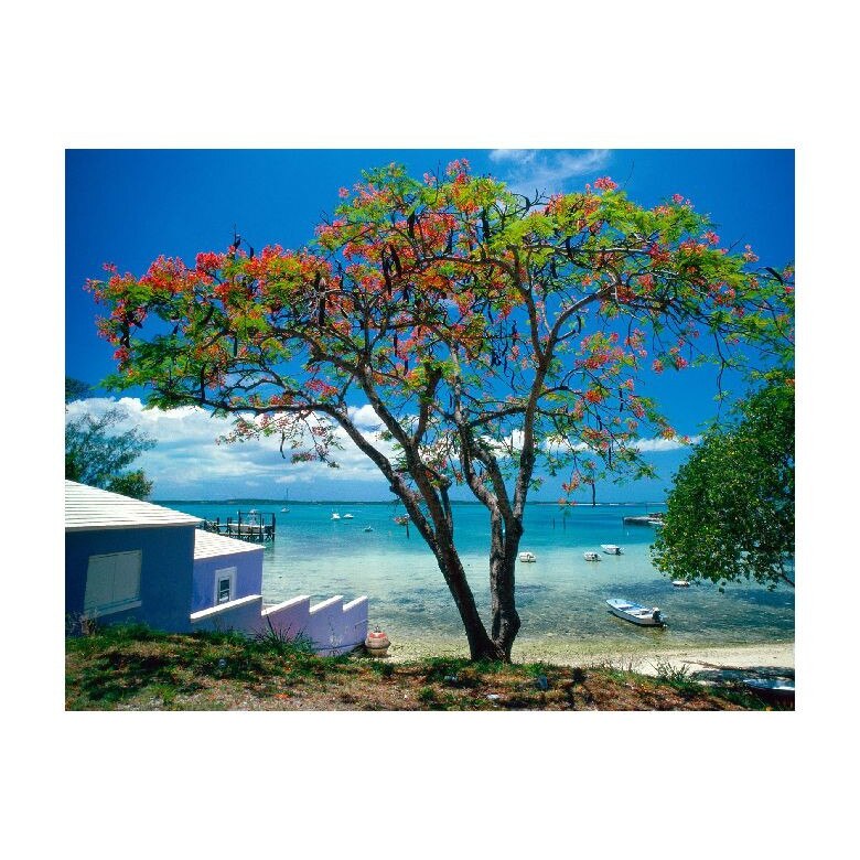 Tablou Canvas Natura, Dimensiunea 100x70 nat1737