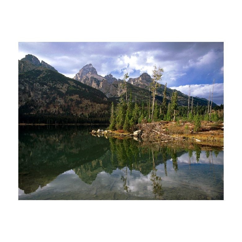 Tablou Canvas Natura, Dimensiunea 100x70 nat1673