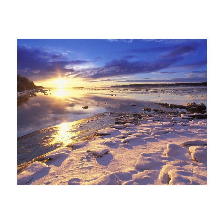 Tablou Canvas Natura, Dimensiunea 100x70 nat1652