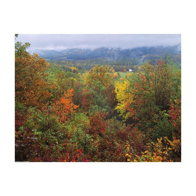 Tablou Canvas Natura, Dimensiunea 100x70 nat1794