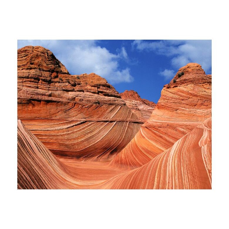 Tablou Canvas Natura, Dimensiunea 90x60 nat1707
