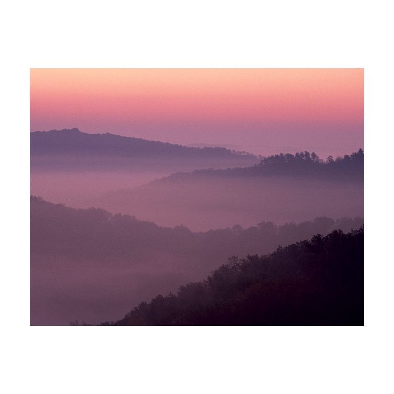 Tablou Canvas Natura, Dimensiunea 100x70 nat1775