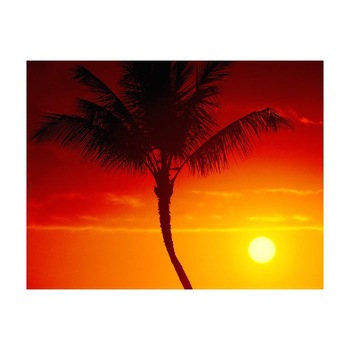 Tablou Canvas Natura, Dimensiunea 100x70 nat1783 Tablou Canvas Natura, Dimensiunea 100x70 nat1783