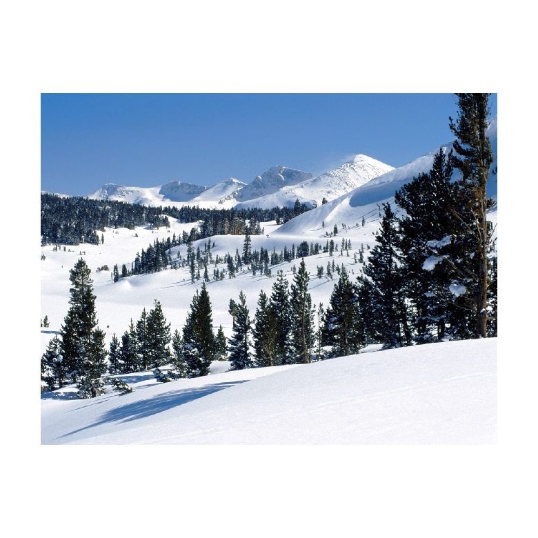 Tablou Canvas Natura, Dimensiunea 100x70 nat1719
