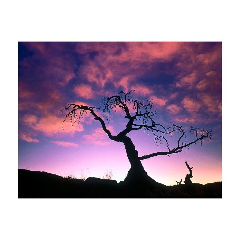 Tablou Canvas Natura, Dimensiunea 100x70 nat1690