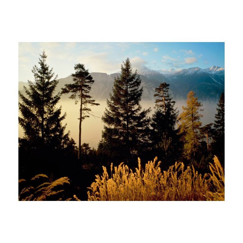 Tablou Canvas Natura, Dimensiunea 100x70 nat1746