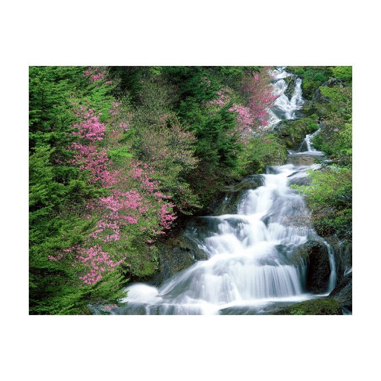 Tablou Canvas Natura, Dimensiunea 100x70 nat1720