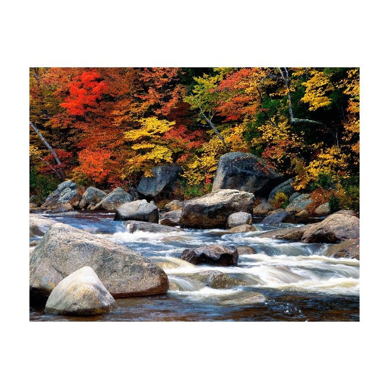 Tablou Canvas Natura, Dimensiunea 100x70 nat1795