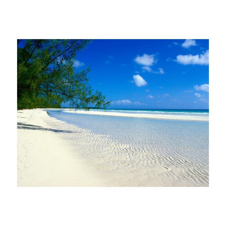 Tablou Canvas Natura, Dimensiunea 100x70 nat1677