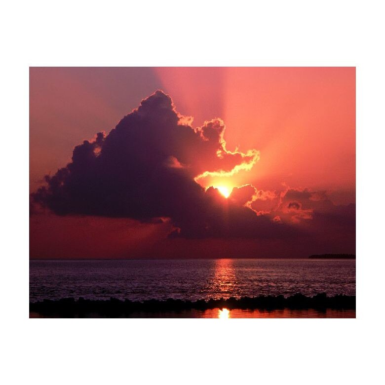 Tablou Canvas Natura, Dimensiunea 100x70 nat1782