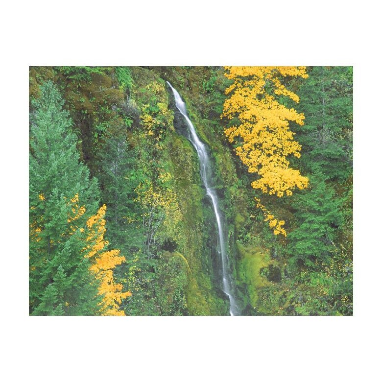 Tablou Canvas Natura, Dimensiunea 100x70 nat1683
