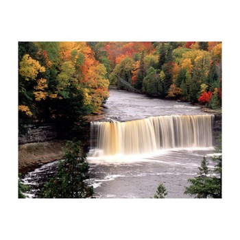 Tablou Canvas Natura, Dimensiunea 100x70 nat1676 Tablou Canvas Natura, Dimensiunea 100x70 nat1676