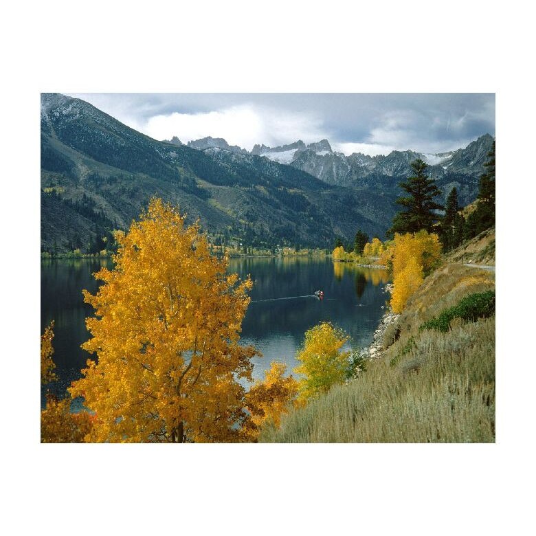 Tablou Canvas Natura, Dimensiunea 100x70 nat1750