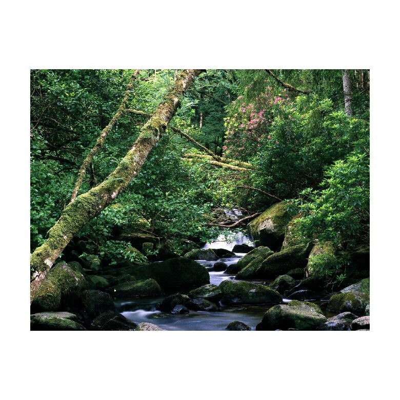 Tablou Canvas Natura, Dimensiunea 100x70 nat1696