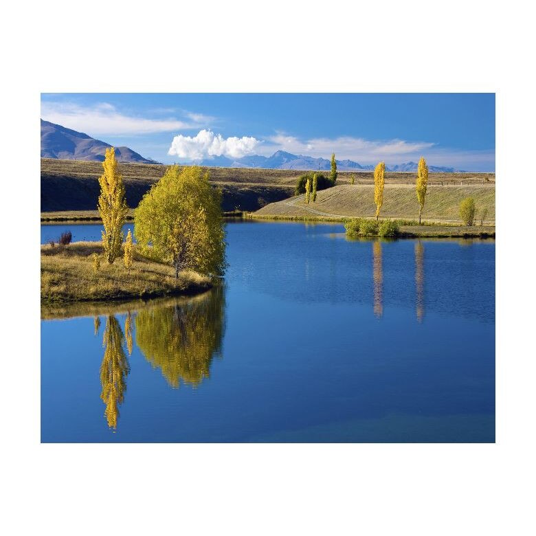 Tablou Canvas Natura, Dimensiunea 100x70 nat1899