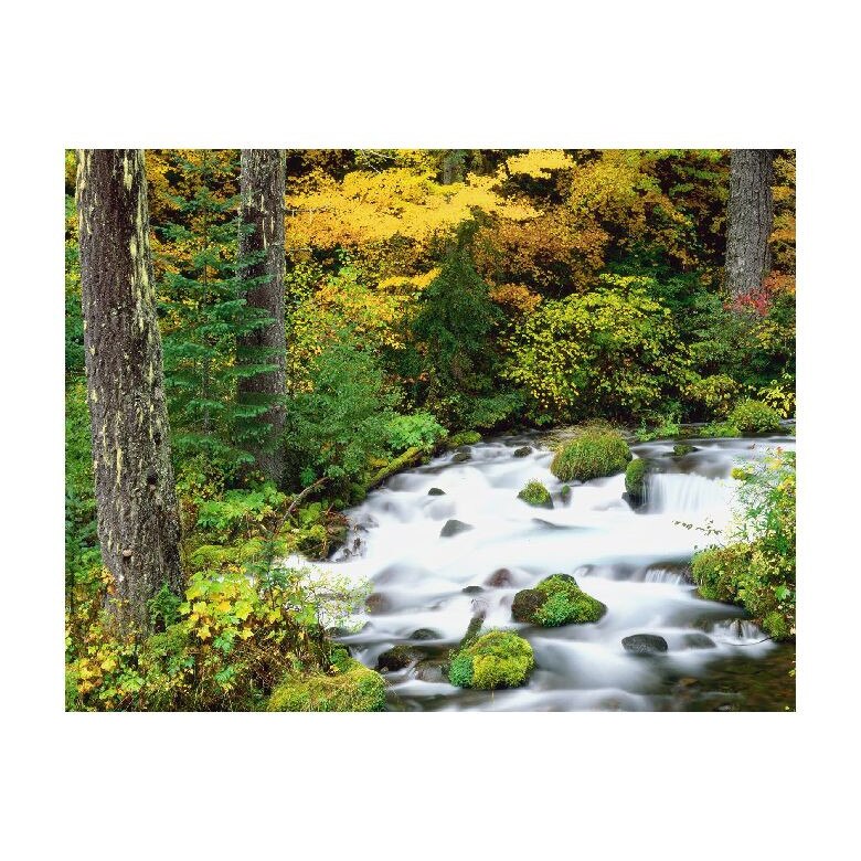 Tablou Canvas Natura, Dimensiunea 100x70 nat1803