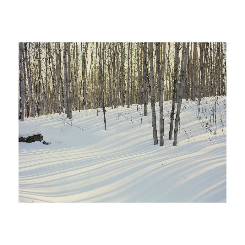 Tablou Canvas Natura, Dimensiunea 100x70 nat1811