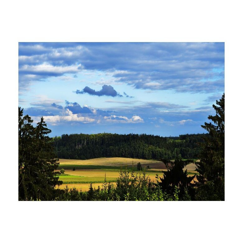 Tablou Canvas Natura, Dimensiunea 100x70 nat1940