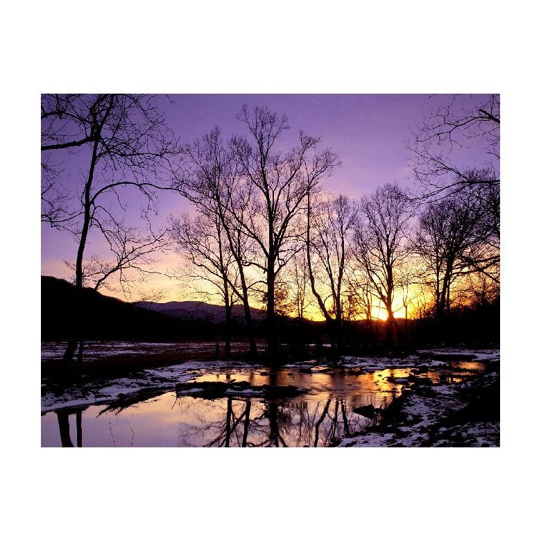 Tablou Canvas Natura, Dimensiunea 100x70 nat1821