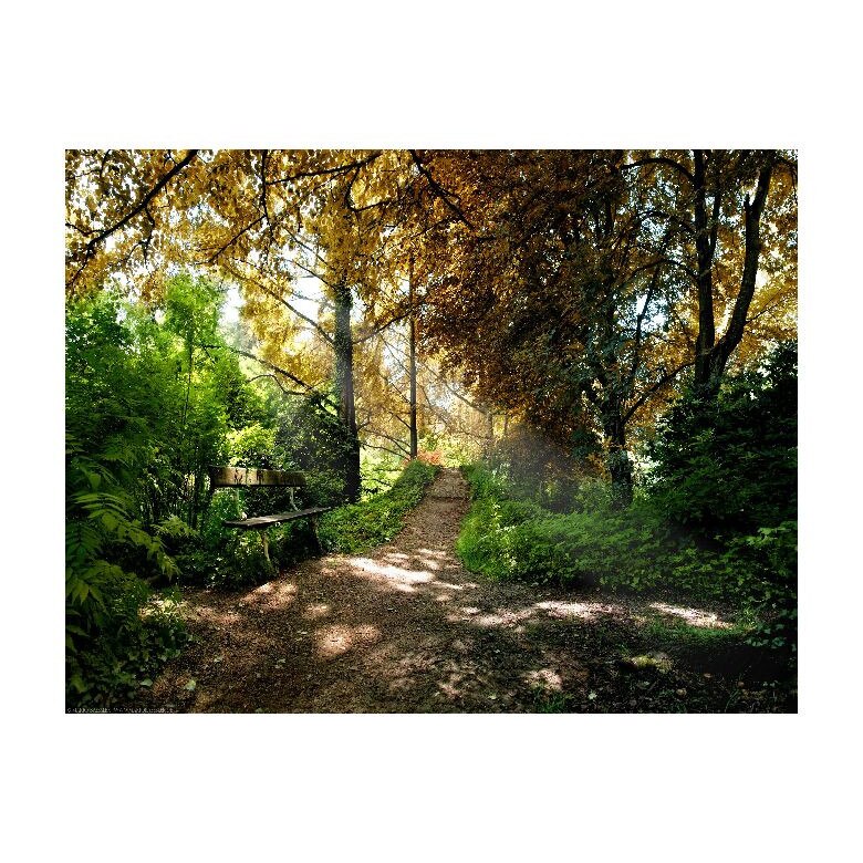 Tablou Canvas Natura, Dimensiunea 100x70 nat1883