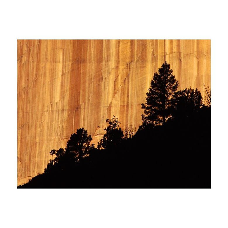 Tablou Canvas Natura, Dimensiunea 100x70 nat1842